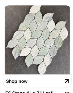 an image of a fish made out of leaves on the ground with text reading shop now ess store 4x2's left