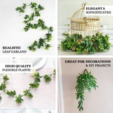 four different types of plants that are hanging from the ceiling and in front of a birdcage