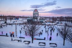 people skating on an ice rink at dusk