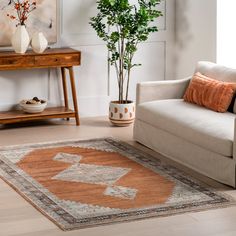 a living room area with a couch, rug and potted plant in the corner