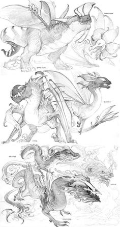 some drawings of different types of animals in black and white ink, with one dragon flying over the other