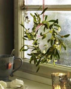 a potted plant sitting on top of a window sill next to a cup