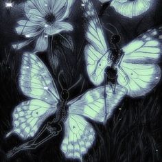 three white butterflies flying in the night sky