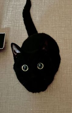 a black cat laying on top of a bed next to a cell phone