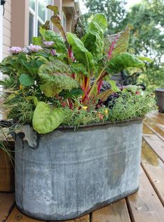 a planter filled with lots of plants on top of a wooden table