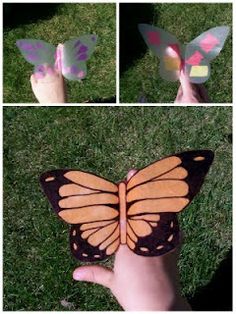 four different pictures of a butterfly being held by someone's hand in the grass