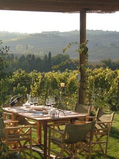 an outdoor table and chairs set up on the grass in front of a vineyard area