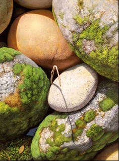 green and white rocks with moss growing on them are in the middle of a pile