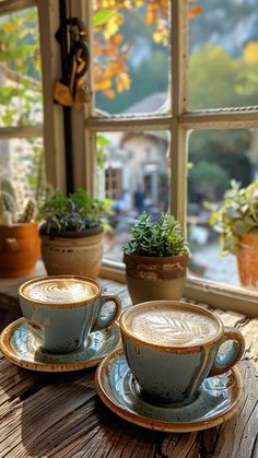 two cups and saucers sitting on a table near a window with potted plants