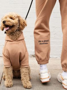 a dog wearing a hoodie standing next to someone's legs with their feet on the ground