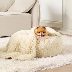 a small dog laying on top of a fluffy white bed in the middle of a living room