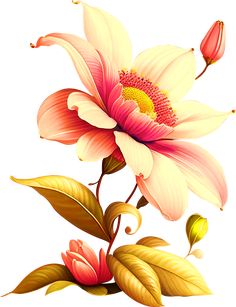 Certificate Background, Allover Design, 3d Flowers, Flower Images, Flower Drawing, Digital Printables, Beautiful Images