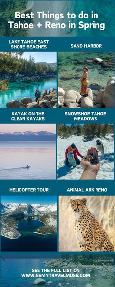 the best things to do in tahoe and reno in spring, including snowbird tours