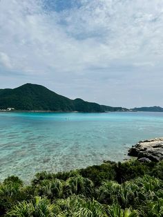 the water is crystal blue and clear with green plants on both sides, and an island in the distance