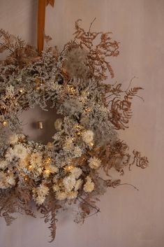 Asparagus Fern, Grass Flower, Everlasting Flowers, Christmas Shop, Cow Bell, Dried Flower Arrangements, Holiday Trends