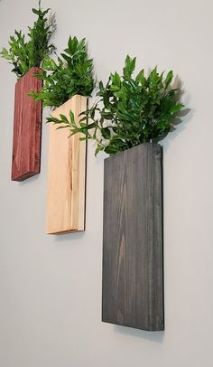 three wooden vases with plants in them hanging on the wall next to each other