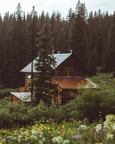 a cabin nestled in the woods surrounded by tall pine trees and wildflowers on a cloudy day