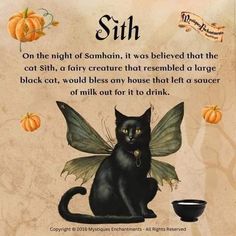 Cat Spells Witches, Magical Cat Art, Curated Content, Wiccan Spell Book