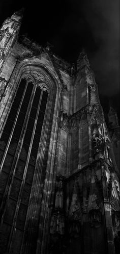 an old gothic cathedral lit up at night