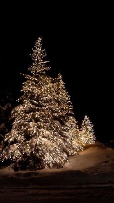 a large christmas tree is lit up in the dark with snow on the ground and trees behind it