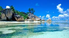 the water is crystal blue and clear with rocks on both sides, and palm trees in the background