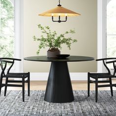 a dining room table with chairs and a potted plant on top of the table