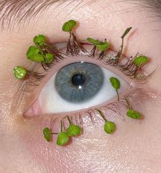 an eye with plants growing out of it