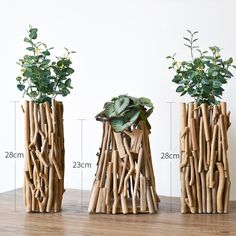 three vases with plants in them sitting on a wooden table next to each other