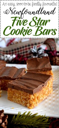 three star cookie bars with chocolate frosting on top and pine cones in the background