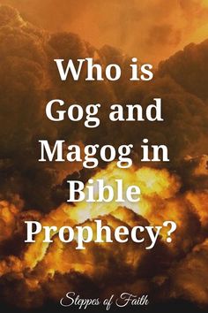 a book cover with the title who is go and maggo in bible prophecy?