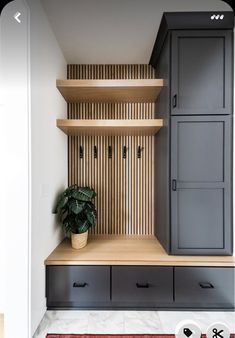 a room with some shelves and a potted plant