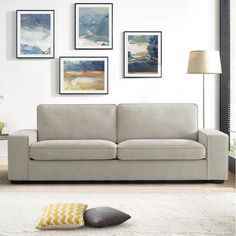 a living room scene with focus on the couch and pillows in front of the wall