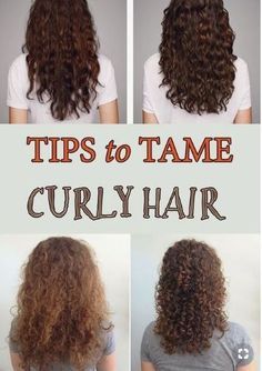 Wild Curly Hair, Frizzy Curly Hair, Dry Curly Hair, Curly Hair Tutorial, Haircut For Thick Hair, Curly Hair Care, Hair Maintenance, Hair Curly, Curly Hair Tips