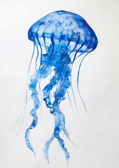 a blue jellyfish floating in the ocean on a white background with watercolors