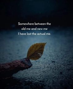 a leaf floating in the water with a quote above it that says, somewhere between the cold and new me i have lost the actual me