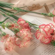 some pink and white flowers on top of an open book