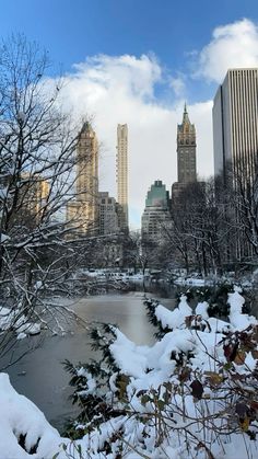 snow covers the ground and trees in central park, with skyscrapers in the background