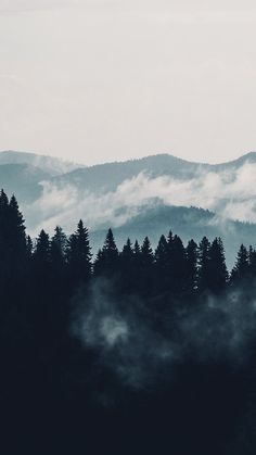 the sky is filled with clouds and fog as trees stand in the foreground, surrounded by mountains