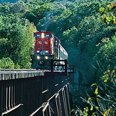 a train is going over a bridge in the middle of some trees and bushes,