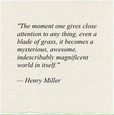 a quote from henry miller about the moment one gives close attention to any thing, even a blade of grass, it becomes a mysterious