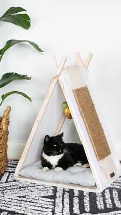 a black and white cat sitting in a teepee tent on top of a rug