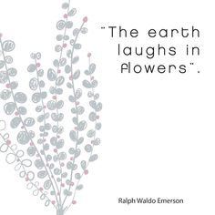 the earth laughs in flowers quote by raphael emersonon on white background with pink and gray leaves