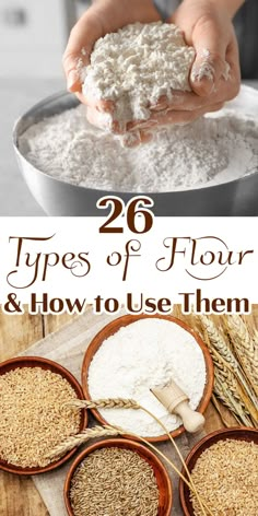 A collage of images with different types of flour for baking. Bread Beckers, Different Types Of Flour, Gluten Free Flours, How To Make Flour, Restless Chipotle, Cooking Substitutions, Wheat Recipes, Flour Substitute, Homemade Pantry