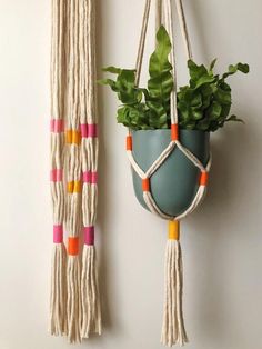 a macrame plant hanger with plants in it next to a wall hanging