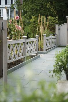 an outdoor garden area with flowers and plants