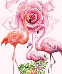 Please Follow for more beautiful flamingo content..🦩




fashion #recipe #flamingounivers #flamingolover #flamingocrazylovers #love #flamingosflamingo #flamingoedit #flamingoisland #flamingopink #flamingovideo #flamingobird#flamingoköy #flamingopicture Animal Mural, Free Photo Editing, Wallpaper Online, Animal Wallpaper