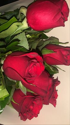 a bunch of red roses sitting on top of a white countertop next to each other