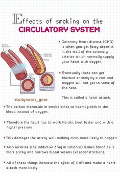 IG: studynotes_gcse • • • • #bio #biology #gcse #igcse #notes #study #revision #heart #humanheart #science #diagram #study #cute #circulatorysystem #gcsenotes #gcsebiology #Coronaryheartdisease #CHD #studygram #gcse2020 #gcse2021 #igcsebiology #edexcelbiology #edexcelbiologynotes #studygram #igcse2021 #studygramcommunity #studyaccount #triplescience #doublescience #gcserevision Mexican Superstitions, Human And Social Biology Notes, Circulatory System Notes, Nursing Cardiovascular, Cardiothoracic Surgeon, Study Revision, Nursing Printables, Science Diagram, Igcse Biology