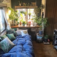 a living room filled with furniture and lots of plants on top of the windowsill