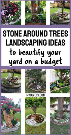 some landscaping ideas that you can use to decorate your yard on a budgett